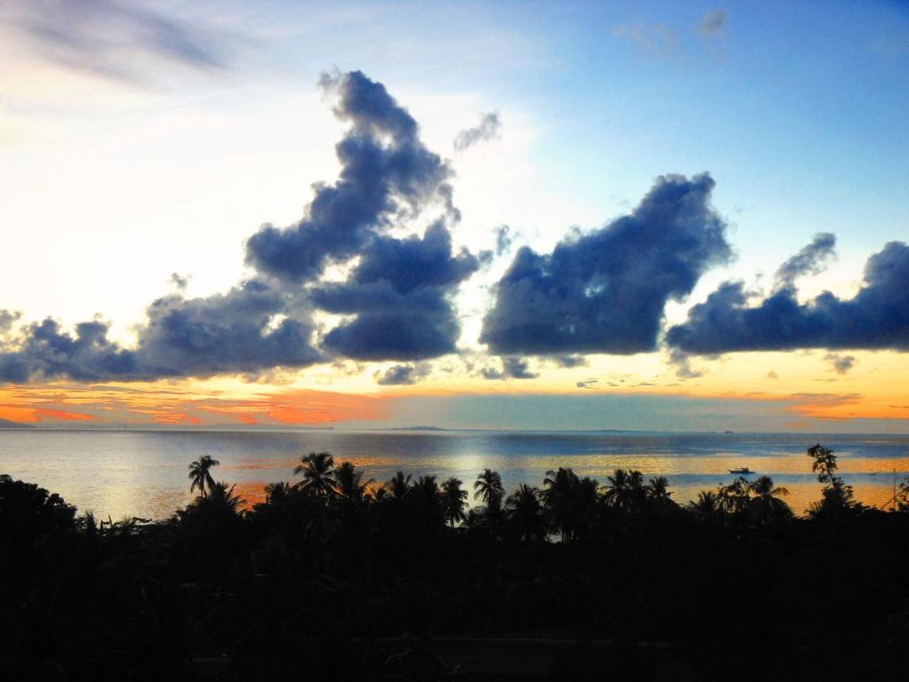 Parrot Paradise Resort Boljoon Buitenkant foto